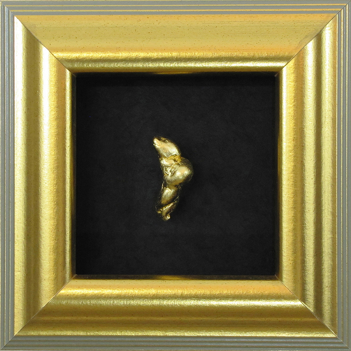 © 2017 Kim Lindaberry • 3D Assemblage Shadowbox: Coprolite, 24K Gold Leaf, Gilded Wood Frame; 10.6" x 10.6" x 2.5"